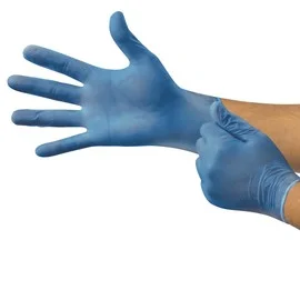 utility gloves -  MICROFLEX V29X Large Blue Microflex® 4.7 mil Vinyl Disposable Gloves